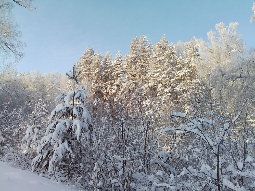 Зимняя картина.