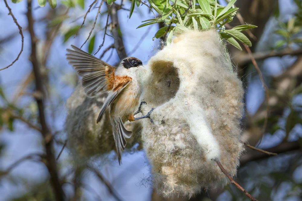 Photograph by Алексей Трубин
