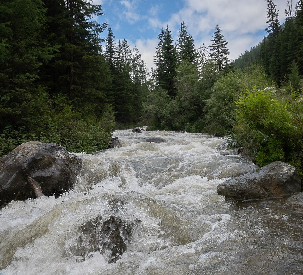 Photograph by Ирина Яук