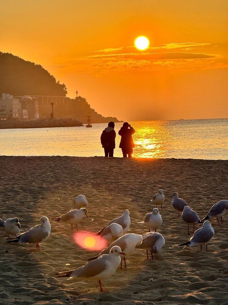 Photograph by Алёна Сморчкова