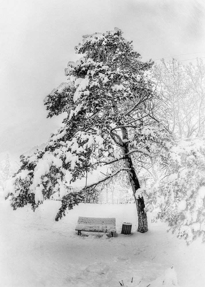 Photograph by Владимир