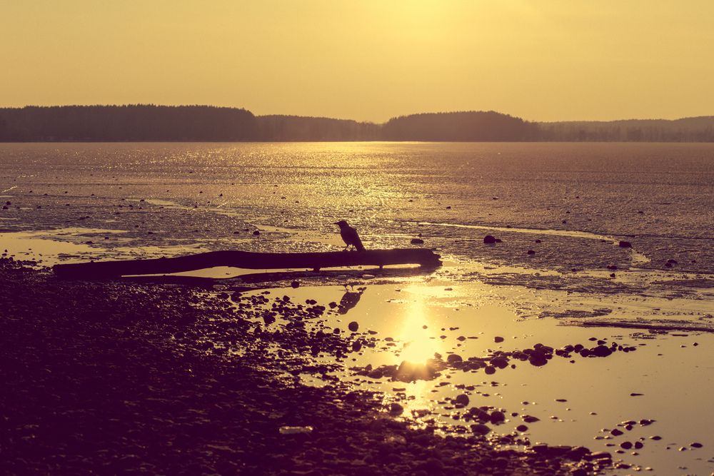 Photograph by Maryia Korenchuk