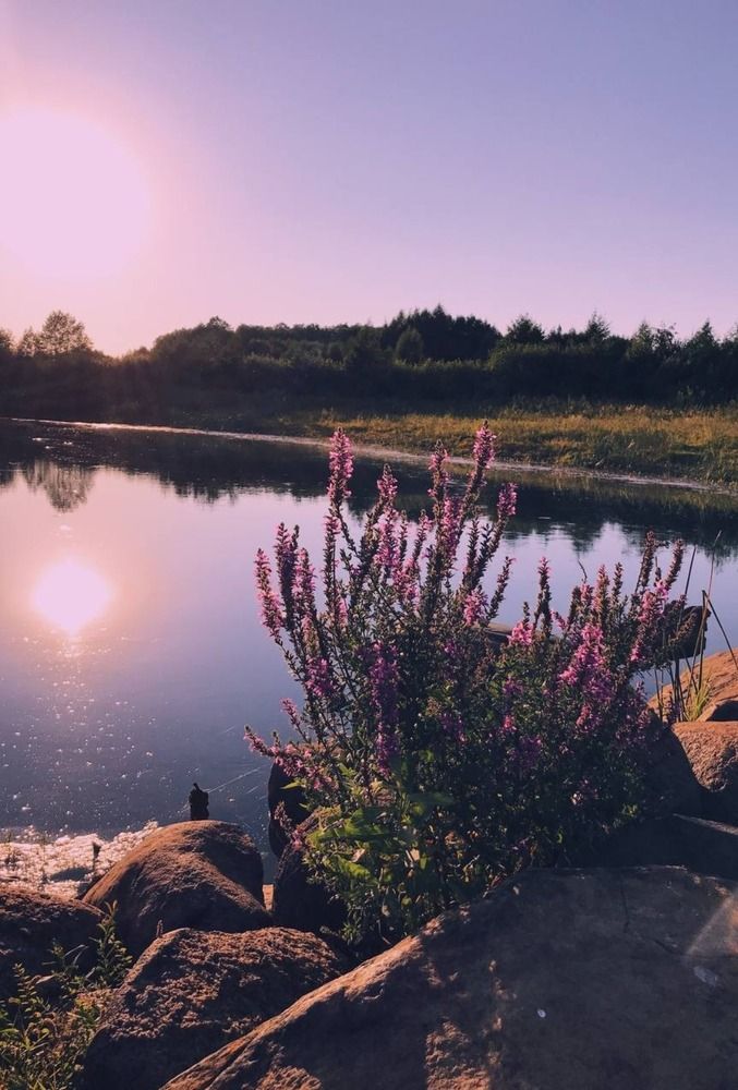 Photograph by Елена Эйнова