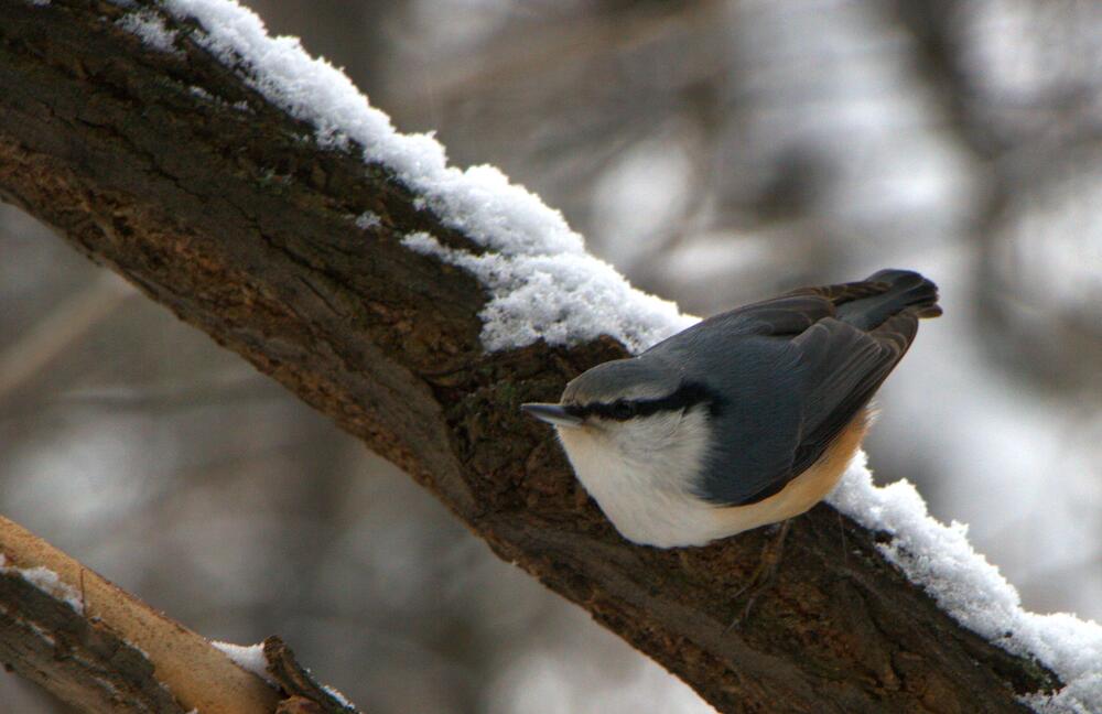 Photograph by Ирина Вассерлауф