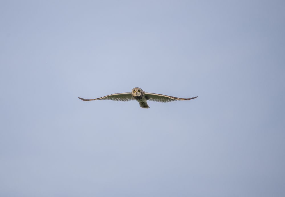 Photograph by Николай Лысцев