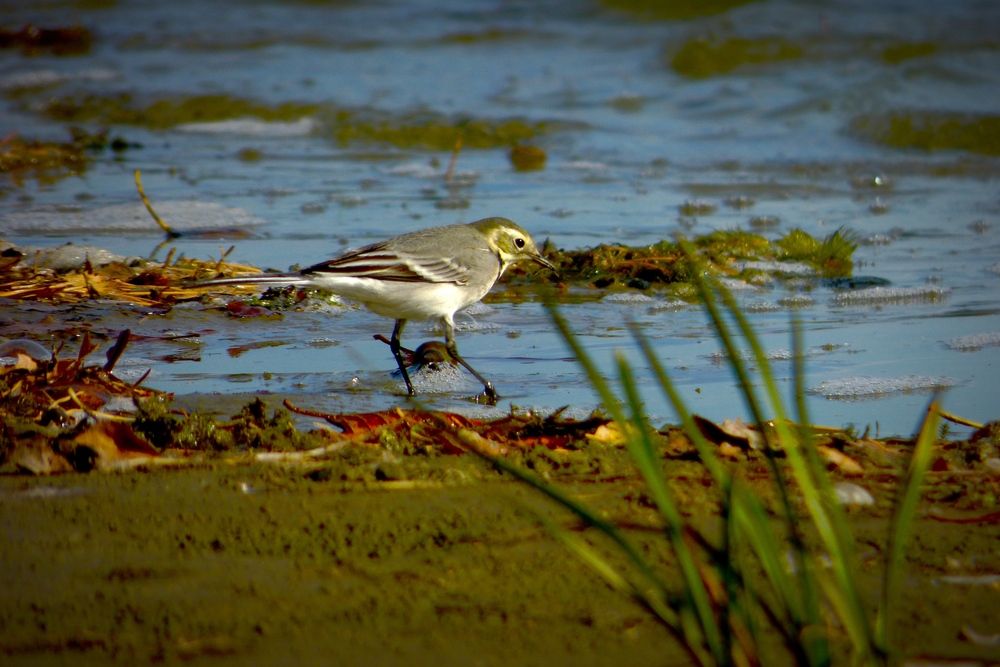 Photograph by Martin Ice