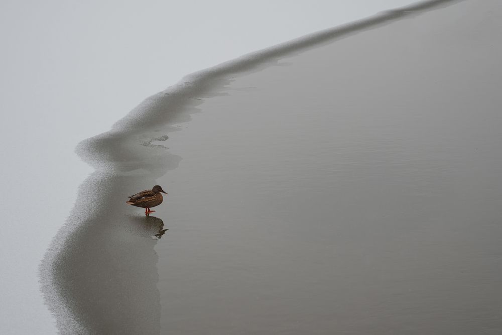 Photograph by Филатова Ольга