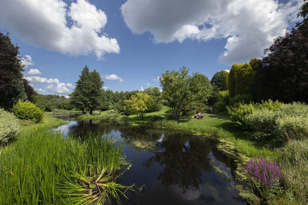 Фотография автора Вадим Брыль