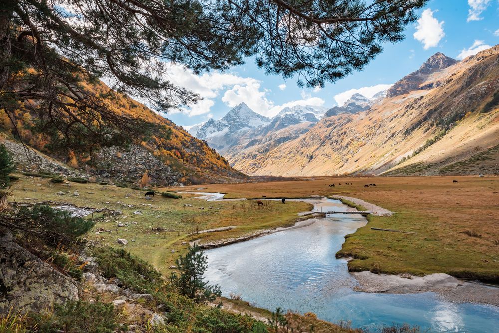 Фотография автора Саша Козырев