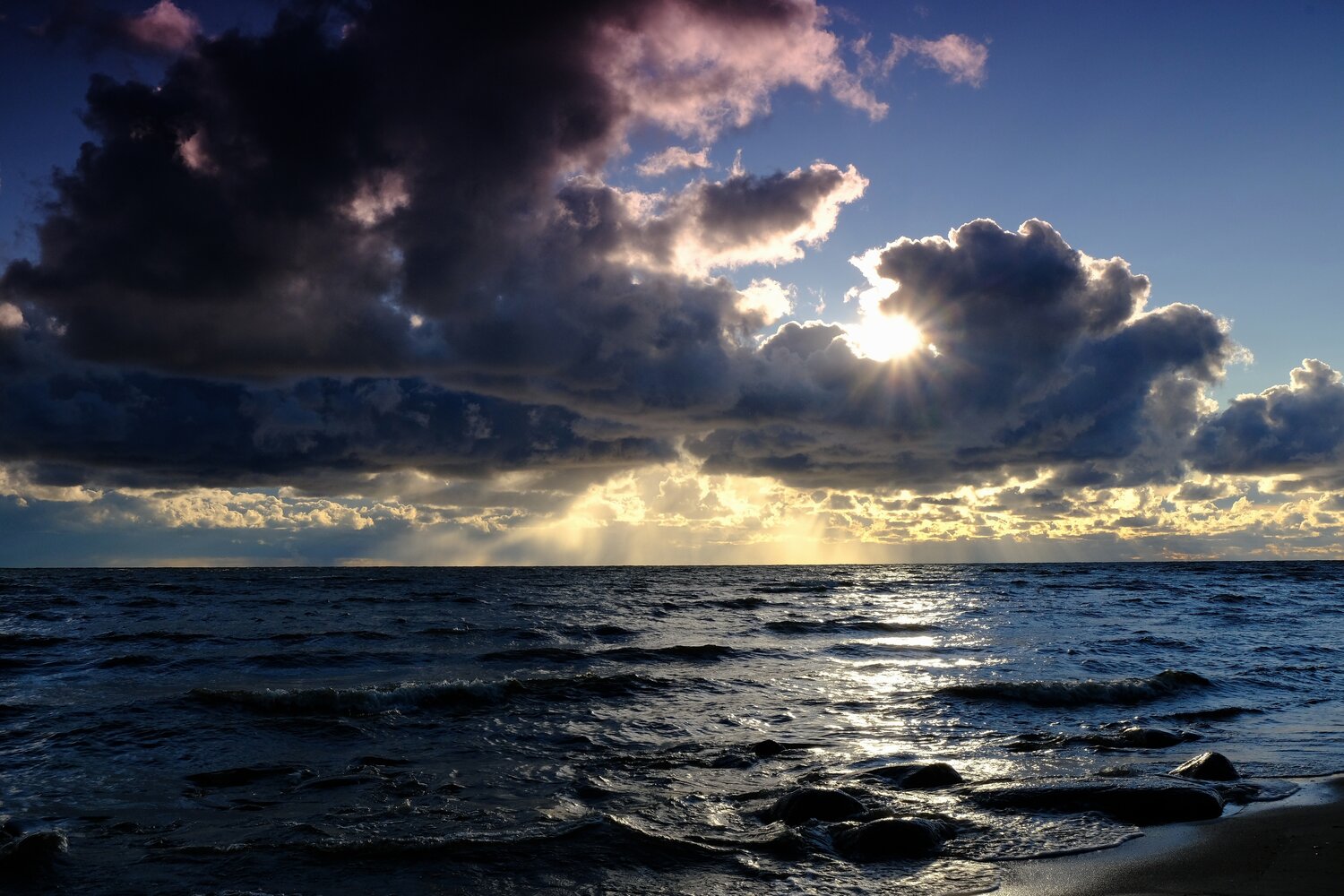 Photo #13257817