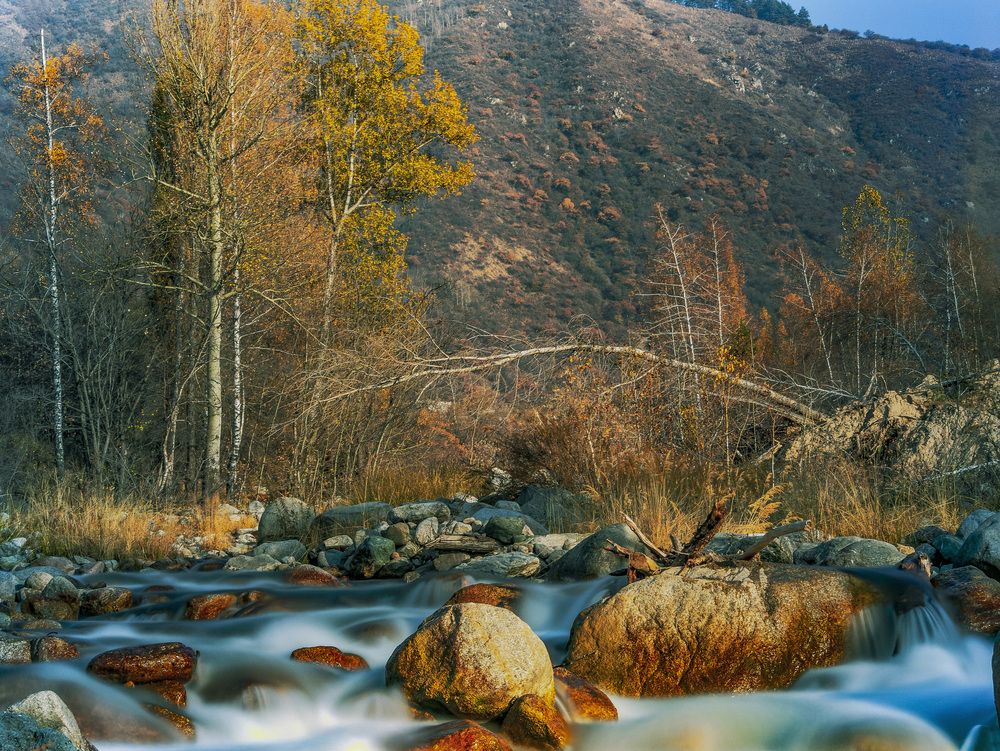 Photograph by Vladimir Tugalev