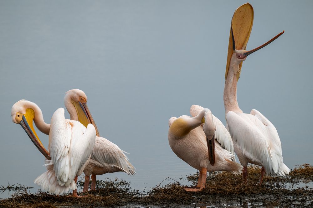 Photograph by Slutskiy Nikolay