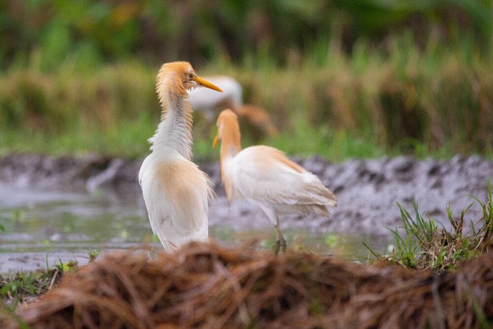 Photograph by Olga Gann