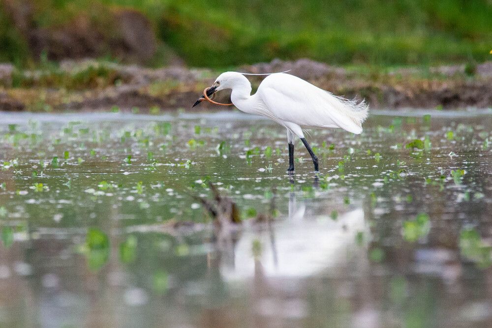 Photograph by Olga Gann