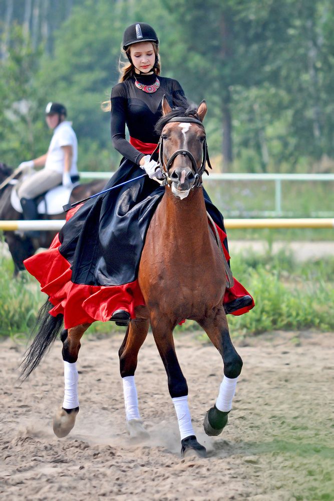 Фотография автора Александр Каплан