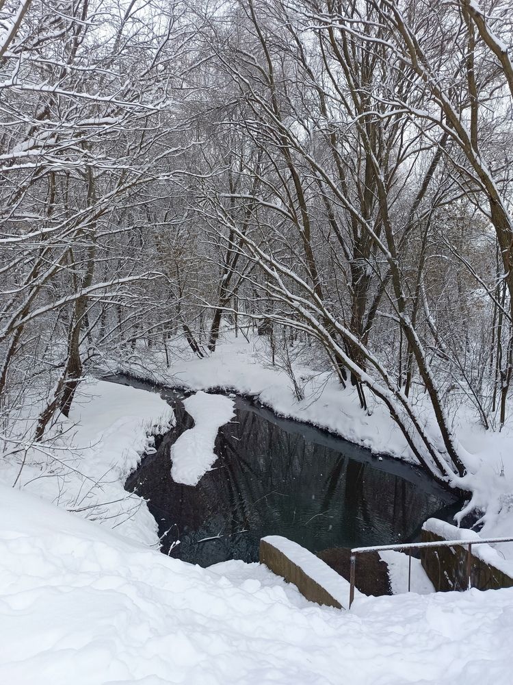 Photograph by Максим Кичкайло