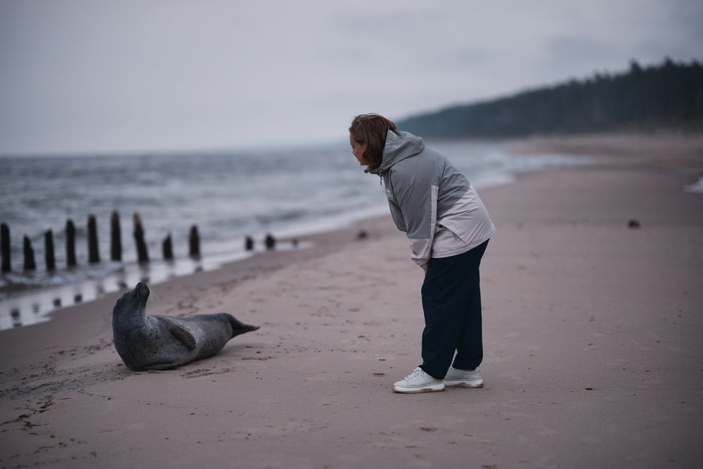 Photograph by Анастасия Пьянкова