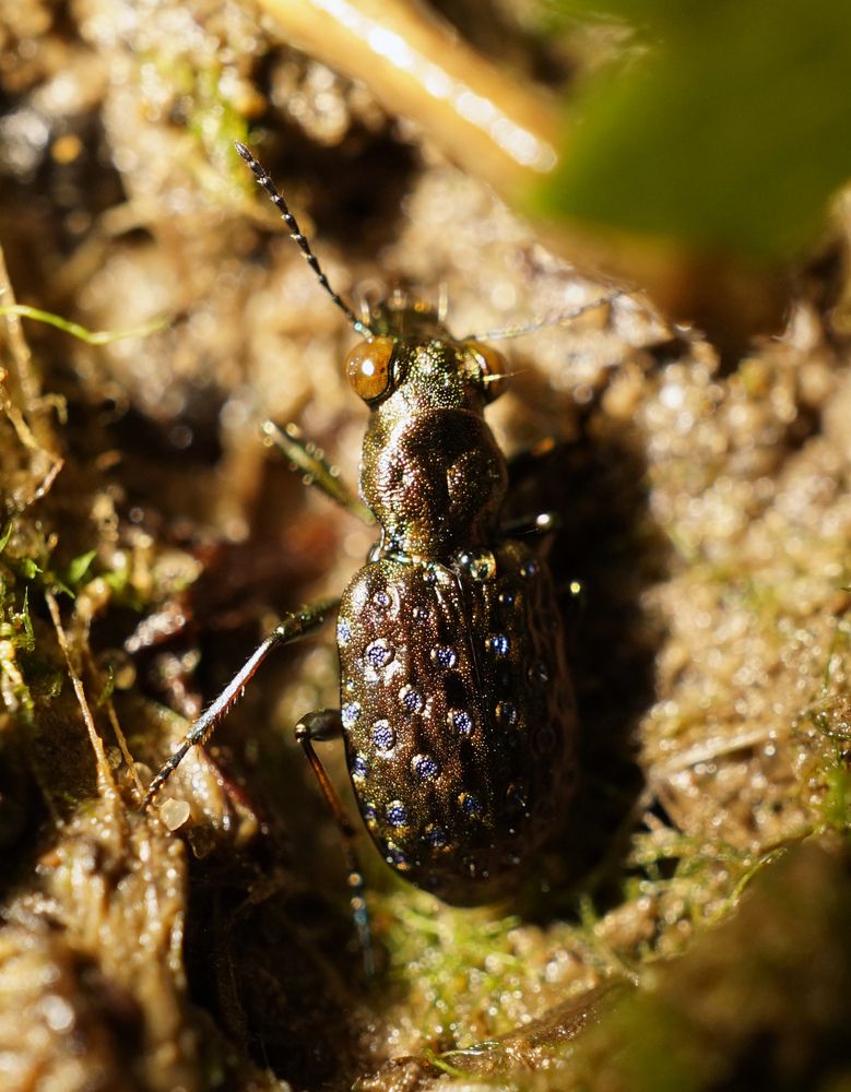 Photograph by Лена Максимкина