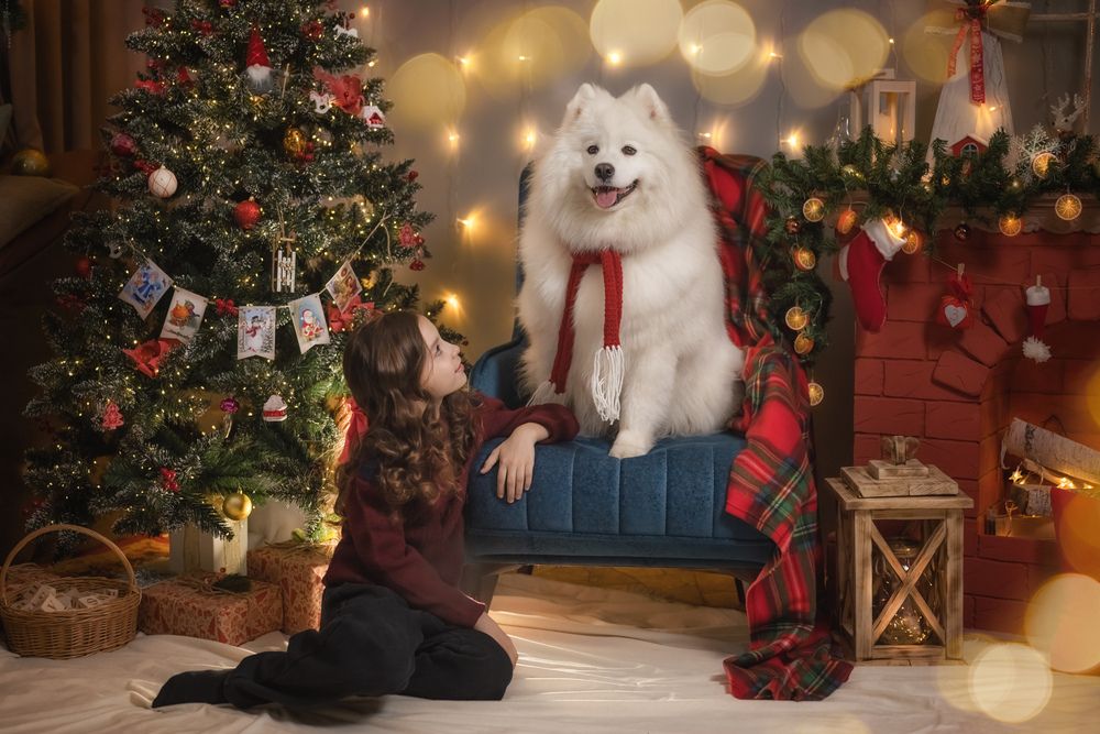 Photograph by Виктория Романенко