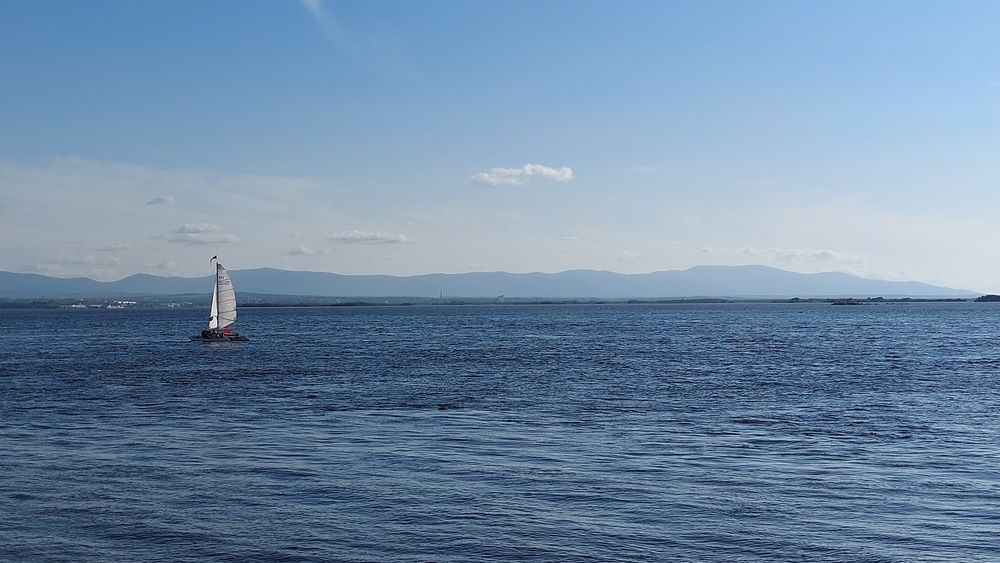 Красавец Амур.