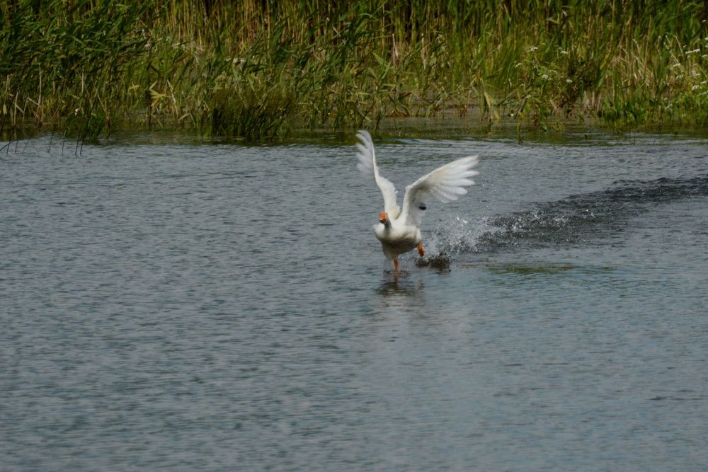 Photograph by Елена Максимова