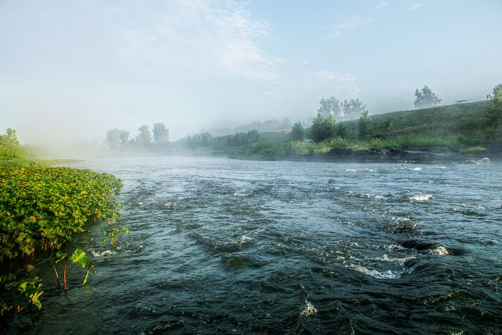Photograph by Владимир Мигонькин