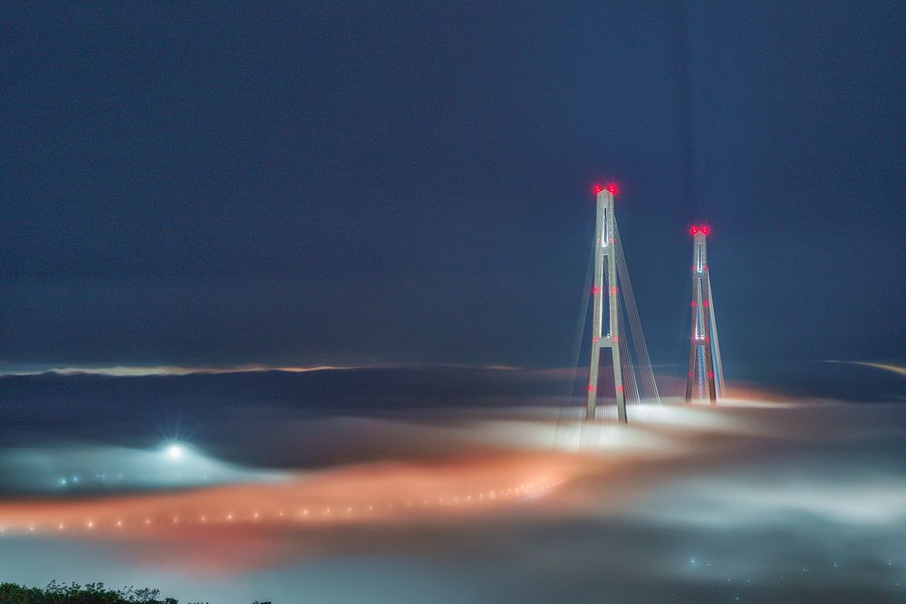 Photograph by Лариса Дука