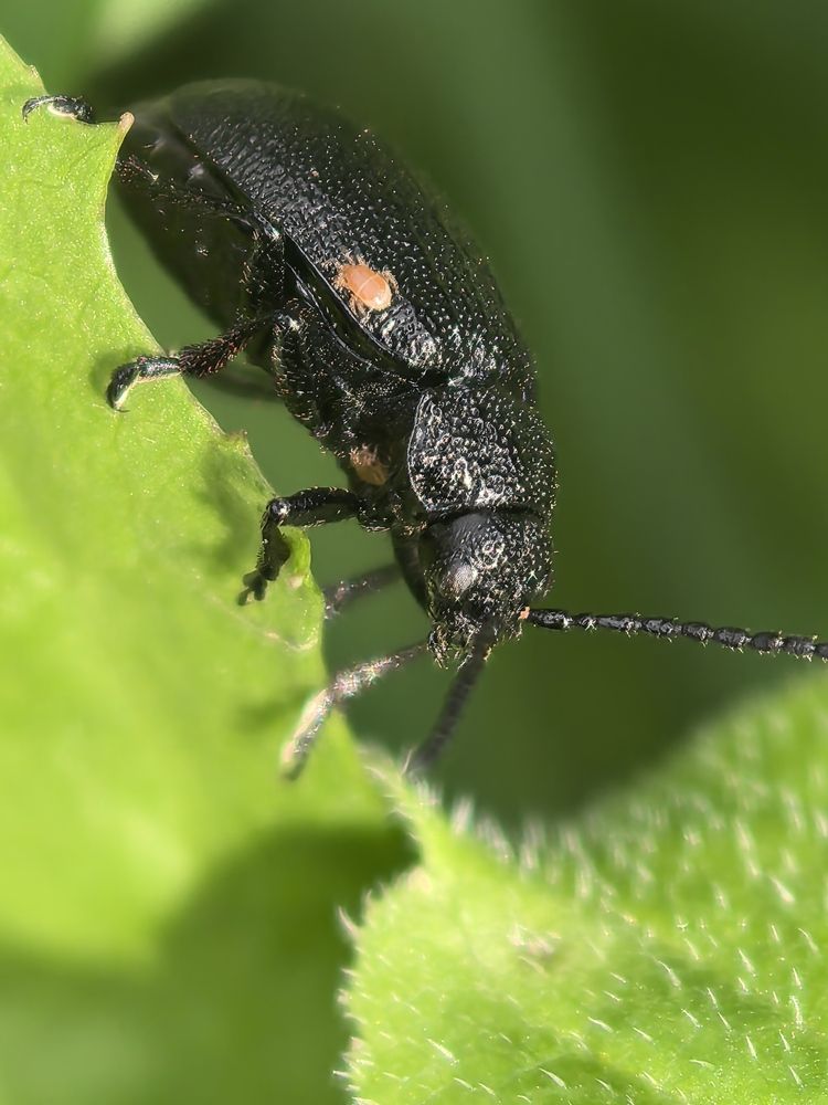 Photograph by Бурыкин Илья