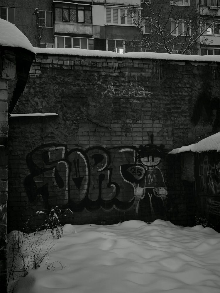 Photo #13257997