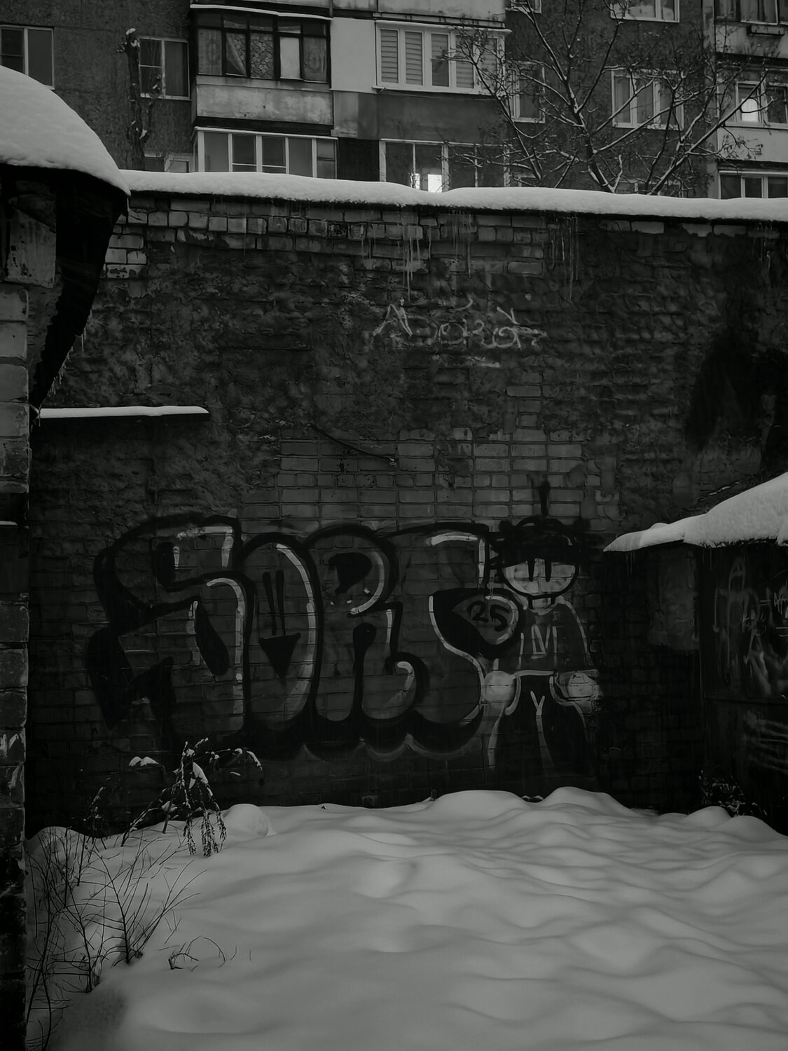 Photo #13257997