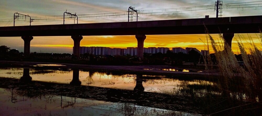 Фотография автора Md Rizwanullah Shuvo