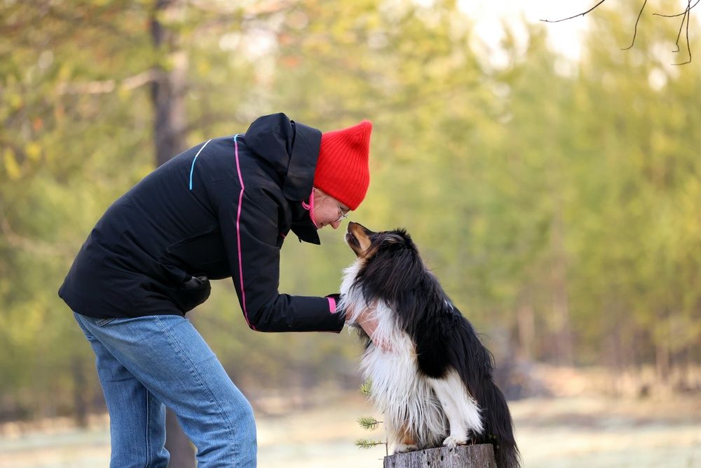 Photograph by Сергей Хитра