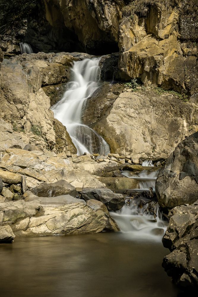 Фотография автора Igor Maksimenko