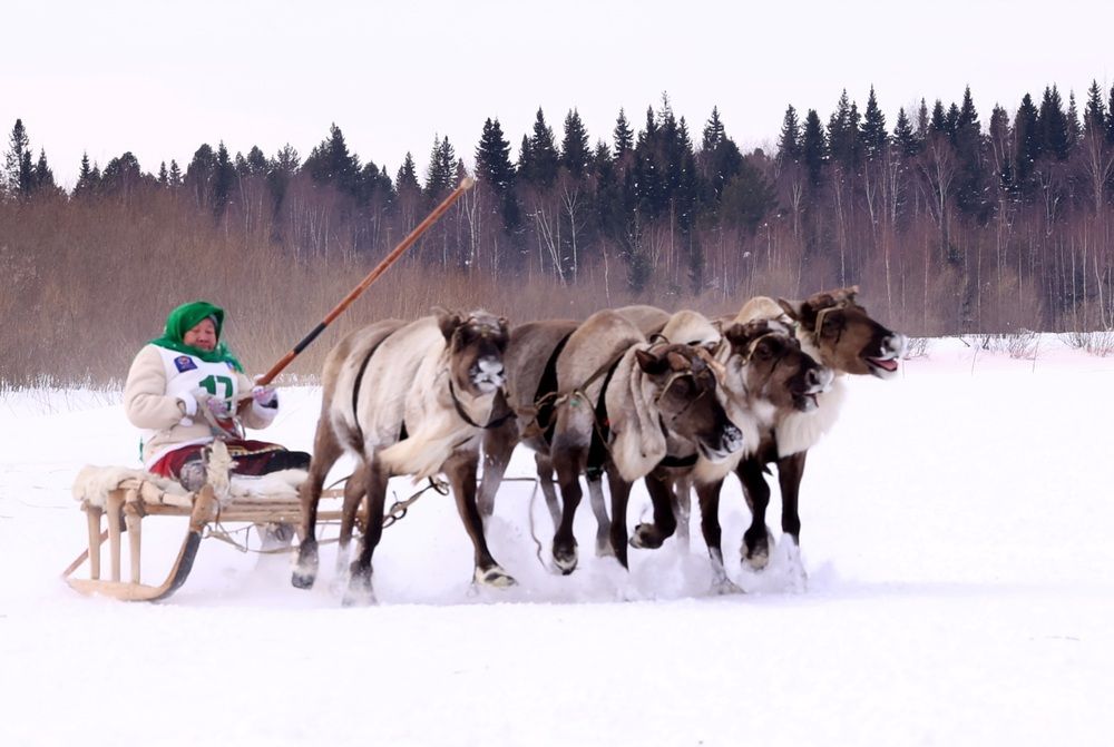 Photograph by Сергей Хитра