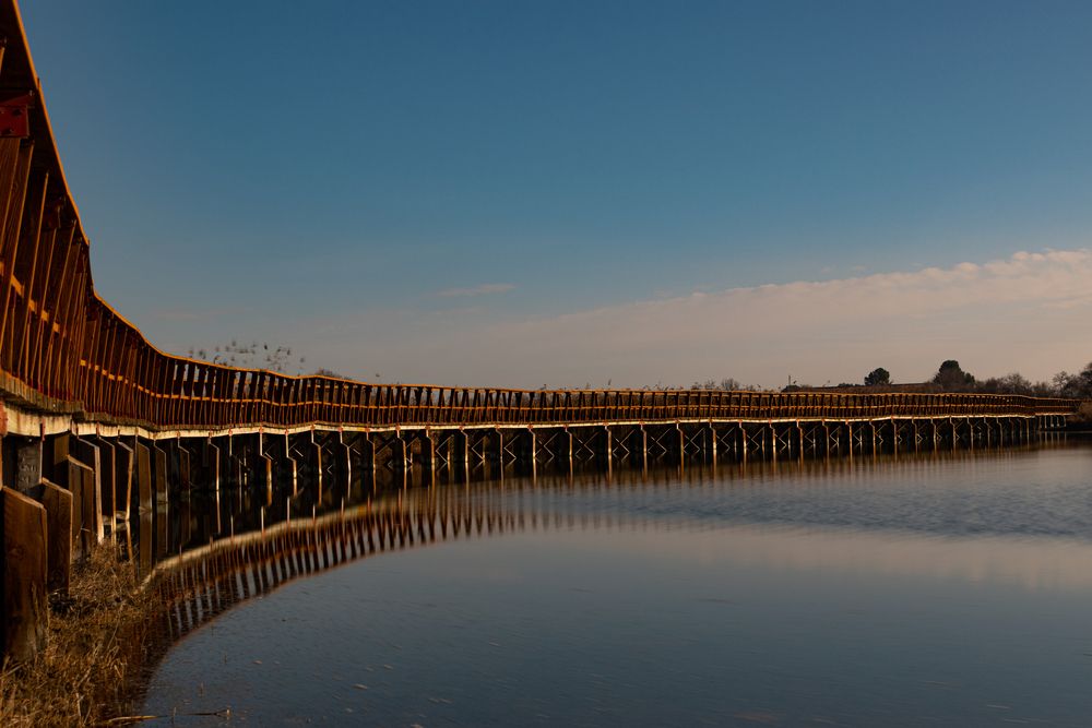 Photograph by Julio Medina