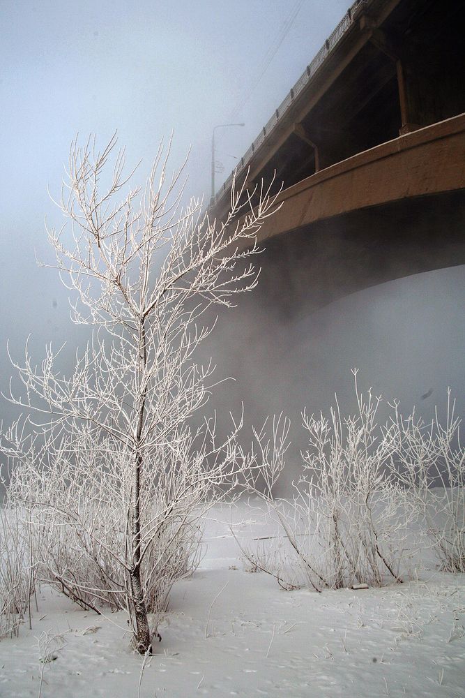 Photograph by Сергей Черных