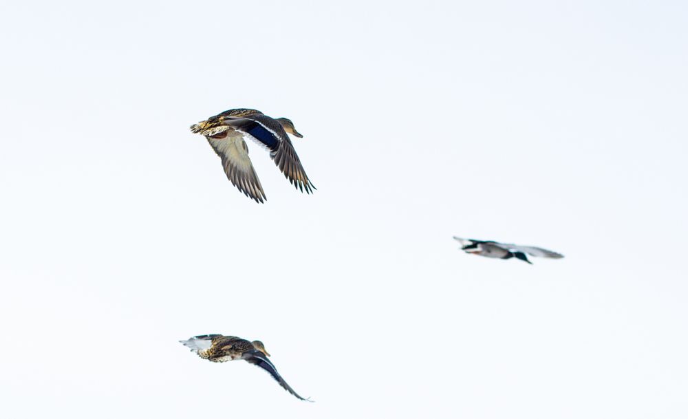 Photograph by Алексей Морозов