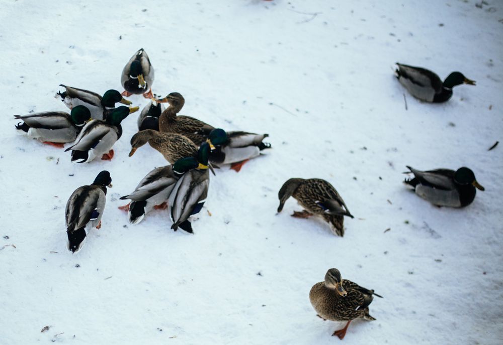 Photograph by Алексей Морозов