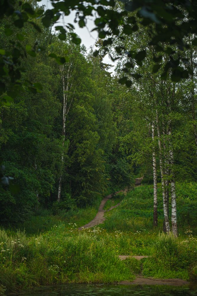 Photograph by Филатова Ольга