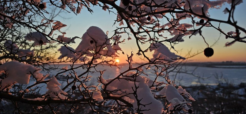 Photograph by Роман Карасёв