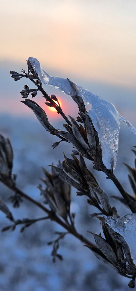 Photograph by Роман Карасёв