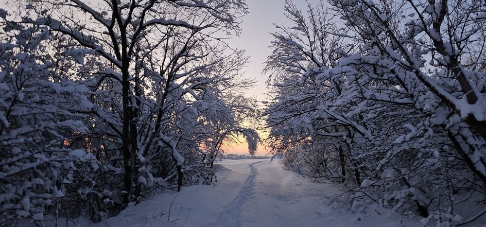 Photograph by Роман Карасёв