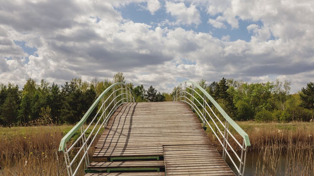 Фотография автора Кушпилева Марина