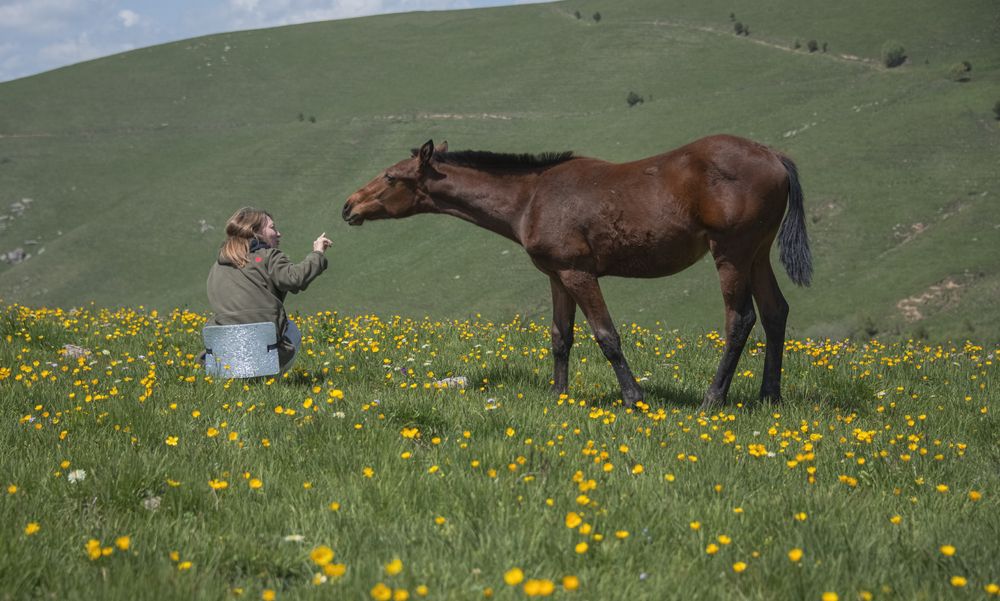 Photograph by ПУЗЕНКО ДМИТРИЙ