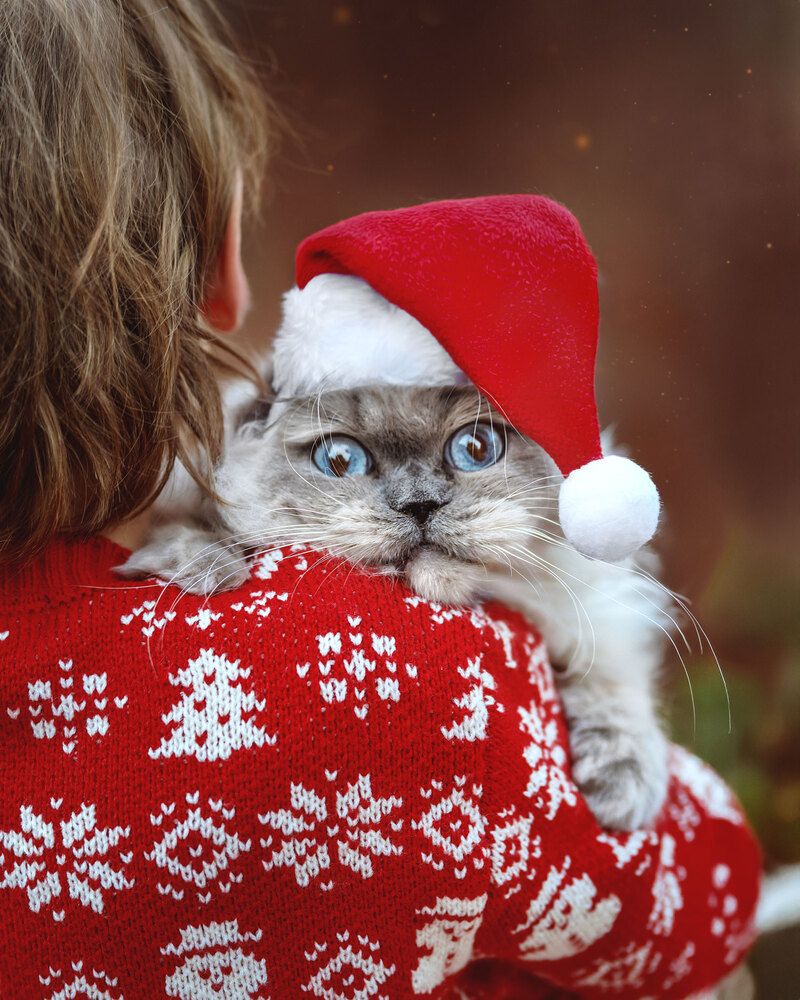 Photograph by Arina Smith Photography