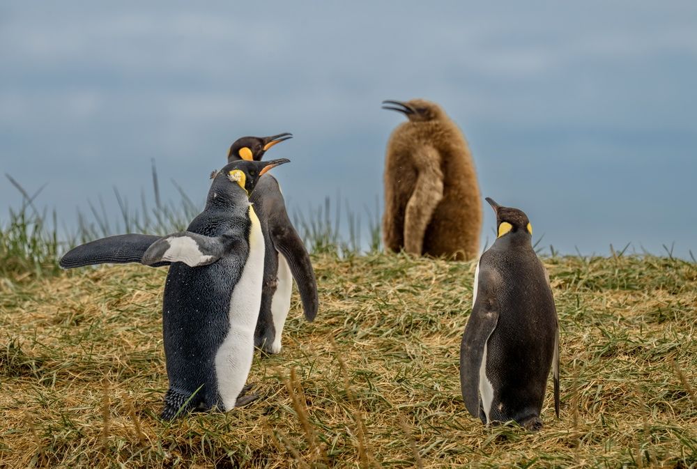 Photograph by Владимир Цветов