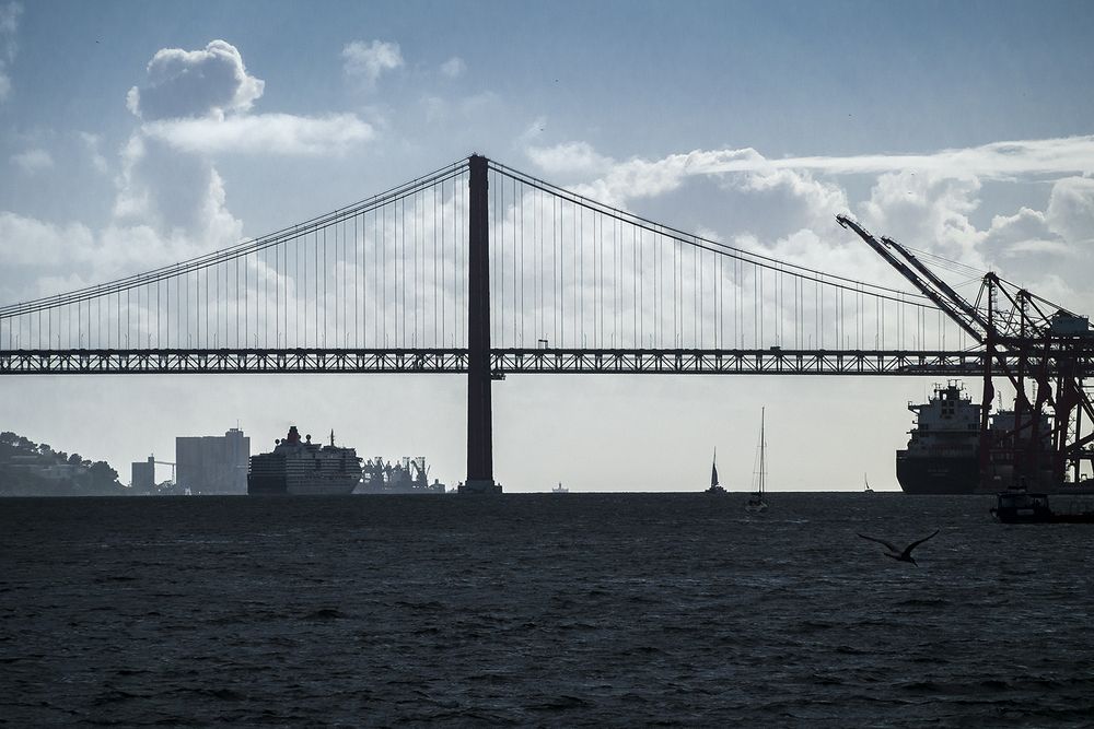 Photograph by александр печенкин