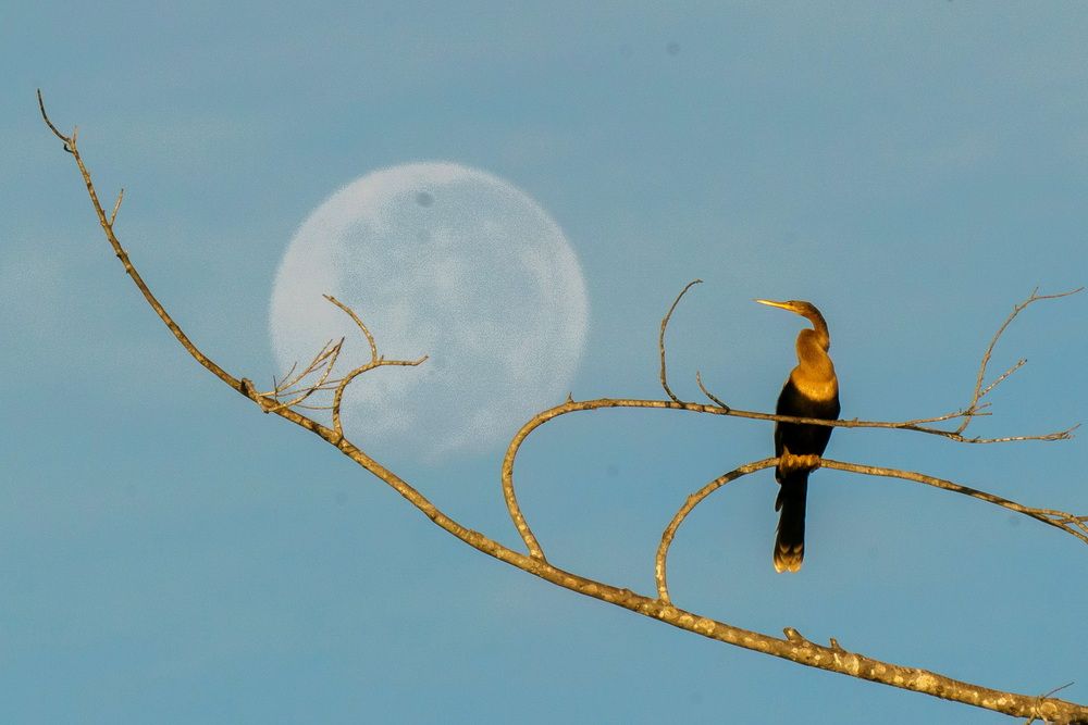 Photograph by Kirill