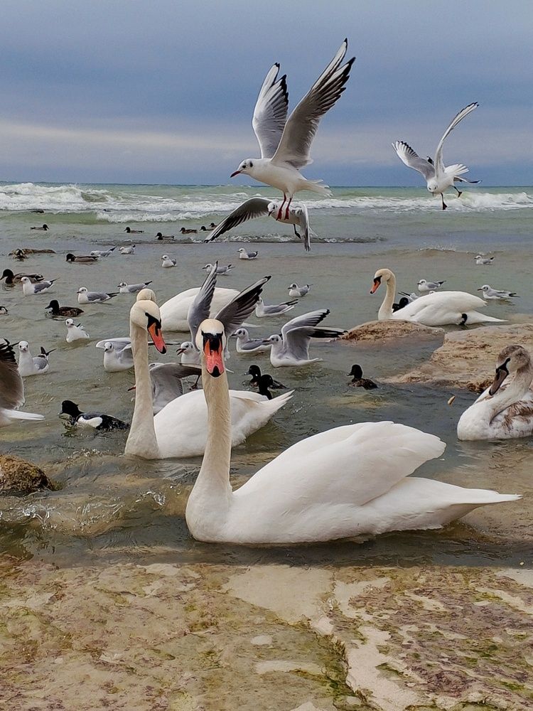 Photograph by Ольга Куцева