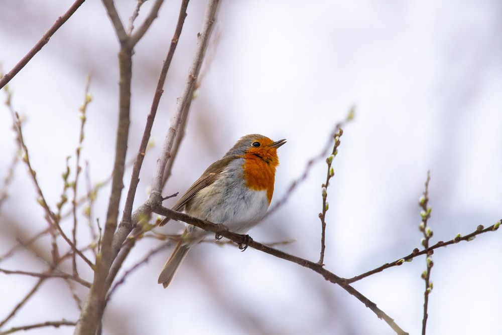 Photograph by Olga Gann